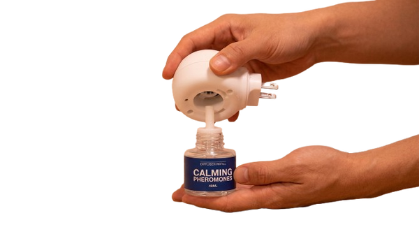 Twist In The Refill