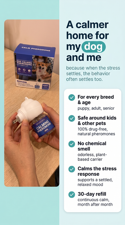 Pawmatter Calming Diffuser for Dogs